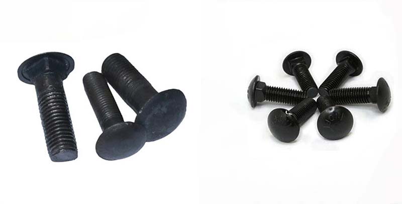 Black cup head square neck bolt